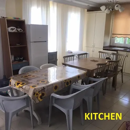 Altinkumda 12 Kisilik Oezel Havuzlu Villa Didim