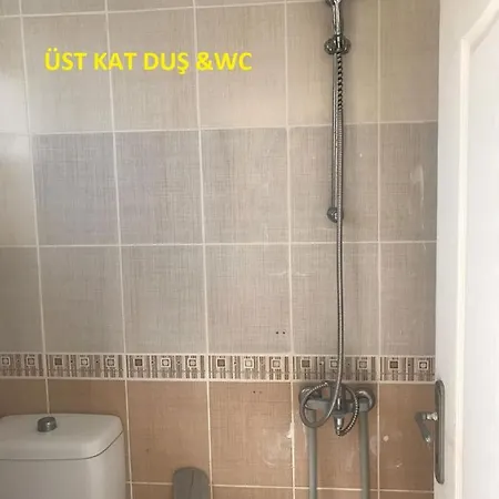 Altinkumda 12 Kisilik Oezel Havuzlu Villa * Didim